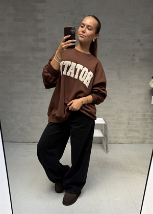 Iris heavy crewneck sweat Chestnut ROTATE